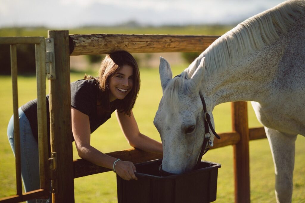 Nutrição equina: Guia abrangente para veterinários sobre dieta e suplementação ideal