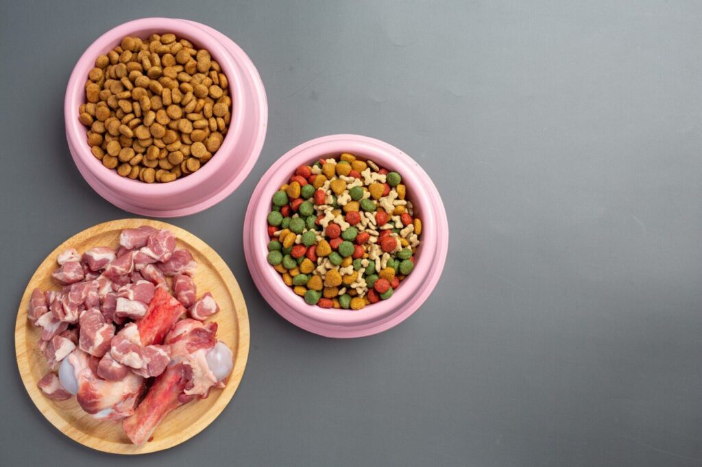 Guia Completo: Nutrição Balanceada para Cães - Alimentação Saudável