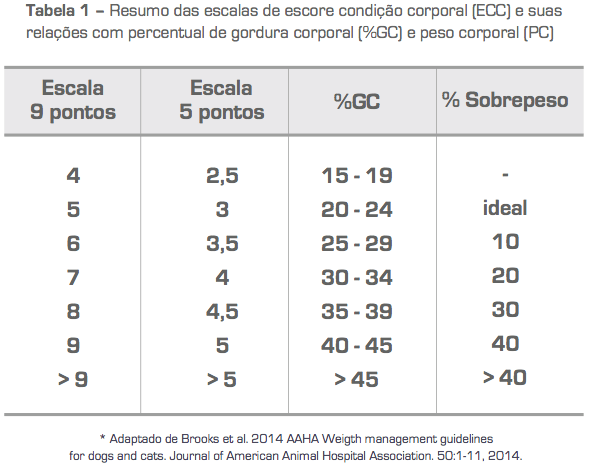 Guia Completo: Nutrição Balanceada para Cães - Alimentação Saudável