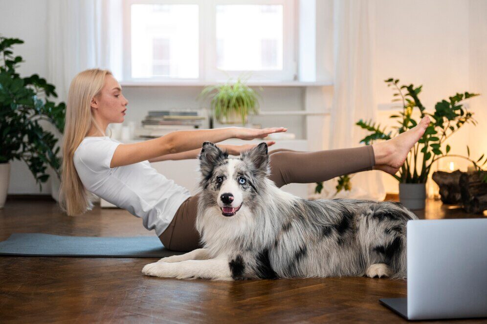 Meditação para Estudantes de Veterinária - Benefícios para a Mente