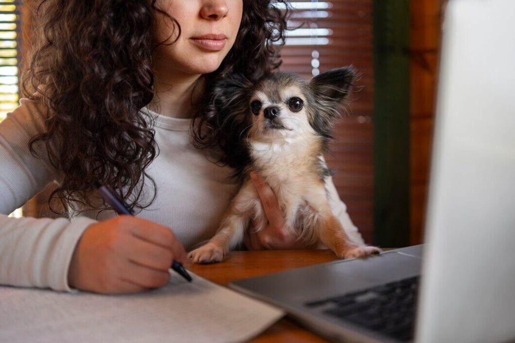 Equilibrando Vida Pessoal e Estudos - Desafios na Faculdade de Veterinária