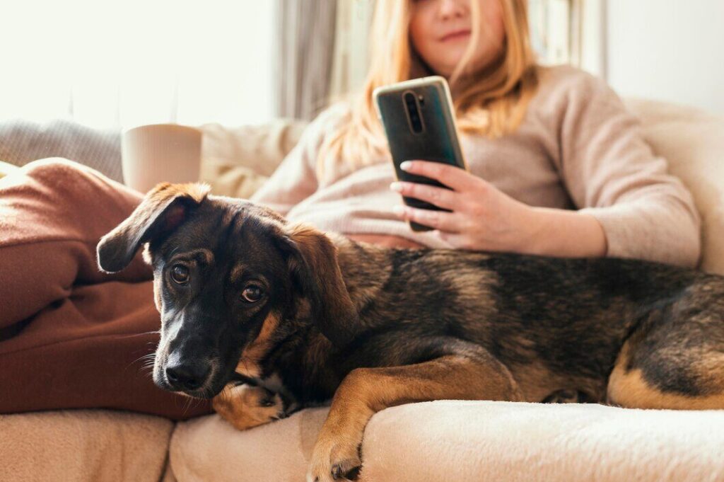 Celular - Herói ou Vilão? Gerenciando o Uso do Celular nos Estudos para Medicina Veterinária