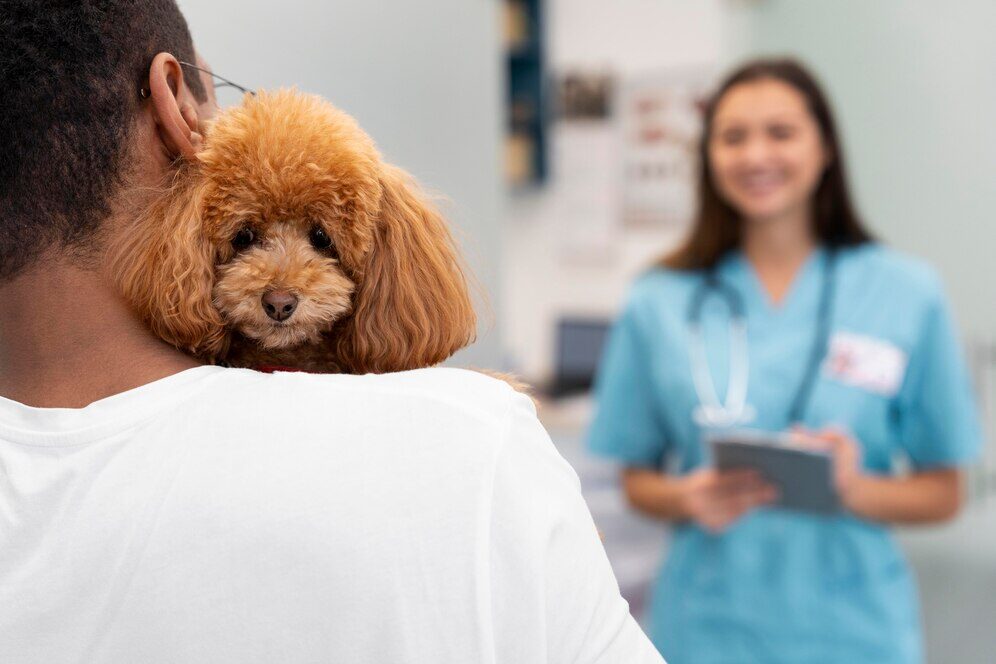 A Vida Universitária - Expectativas e Realidade na Faculdade de Veterinária