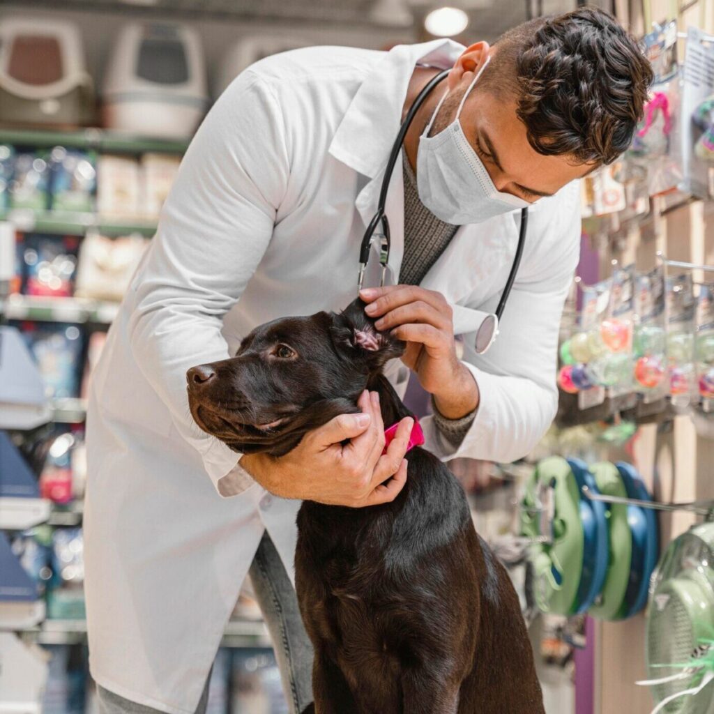 Seja um Aluno de Sucesso - Dicas para Excelência Acadêmica em Veterinária