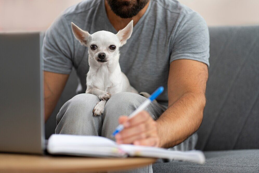 Autodisciplina e Procrastinação - Como Gerenciar o Tempo na Faculdade de Veterinária