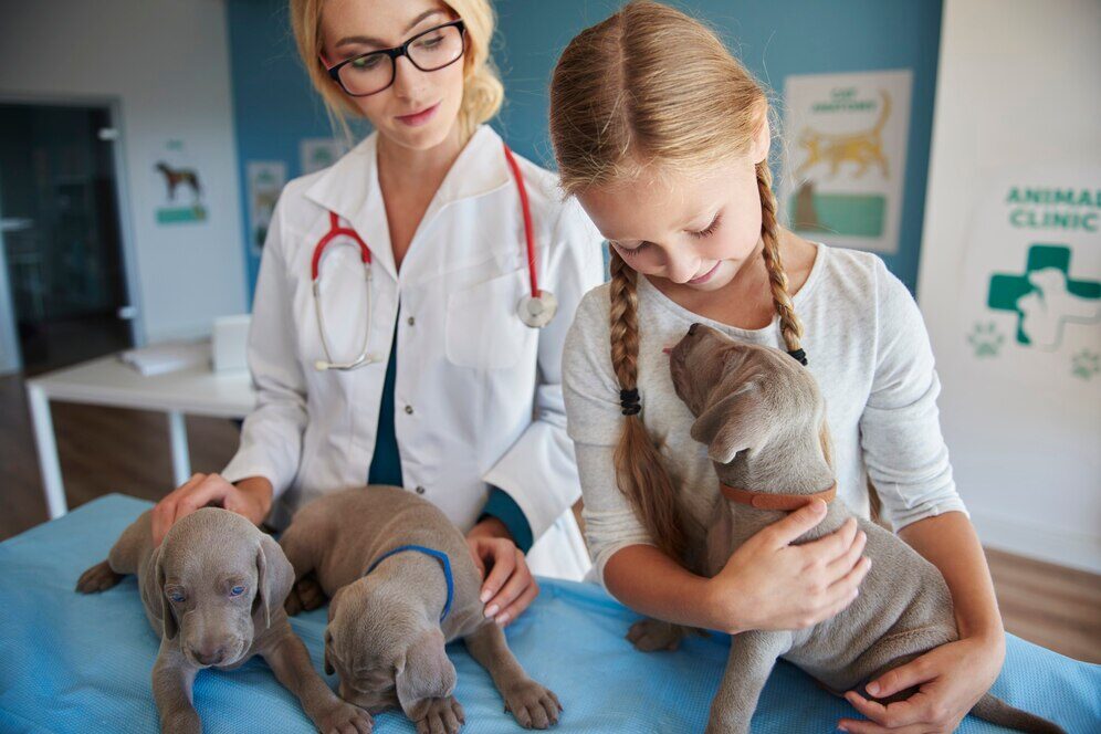 Iniciação Científica - Oportunidades para Estudantes de Veterinária