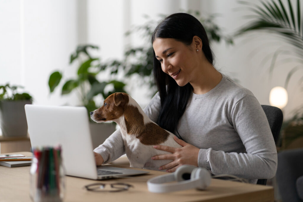 Ferramentas Essenciais para Contratação Rápida no Mercado Pet